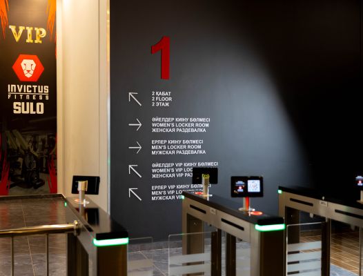 Invictus Sulo Fitness